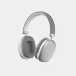 Diaema VSW01