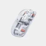 Mouse KB07